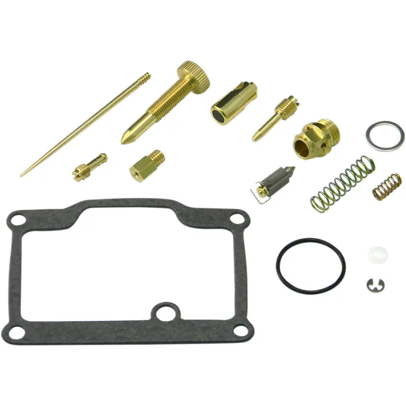 Carburetor Repair Kit