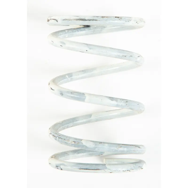 Clutch Spring