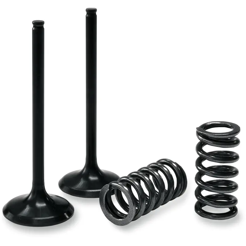 Prox Valve and Spring Kit - Intake - Suzuki