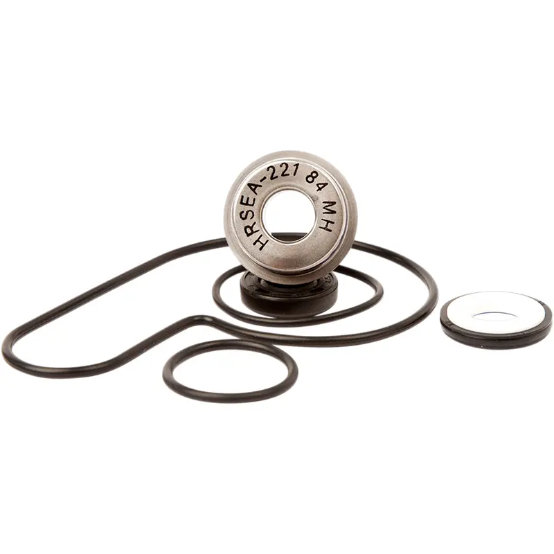 Water Pump Repair Kit