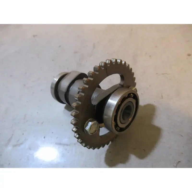 Honda TRX 300 Camshaft 1999 #2