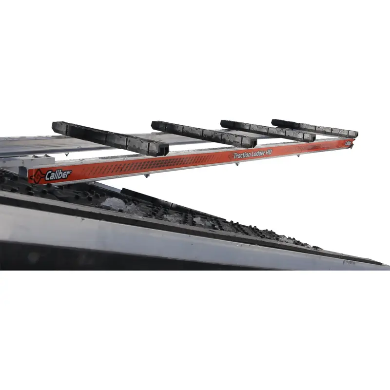 Traction Ladder
