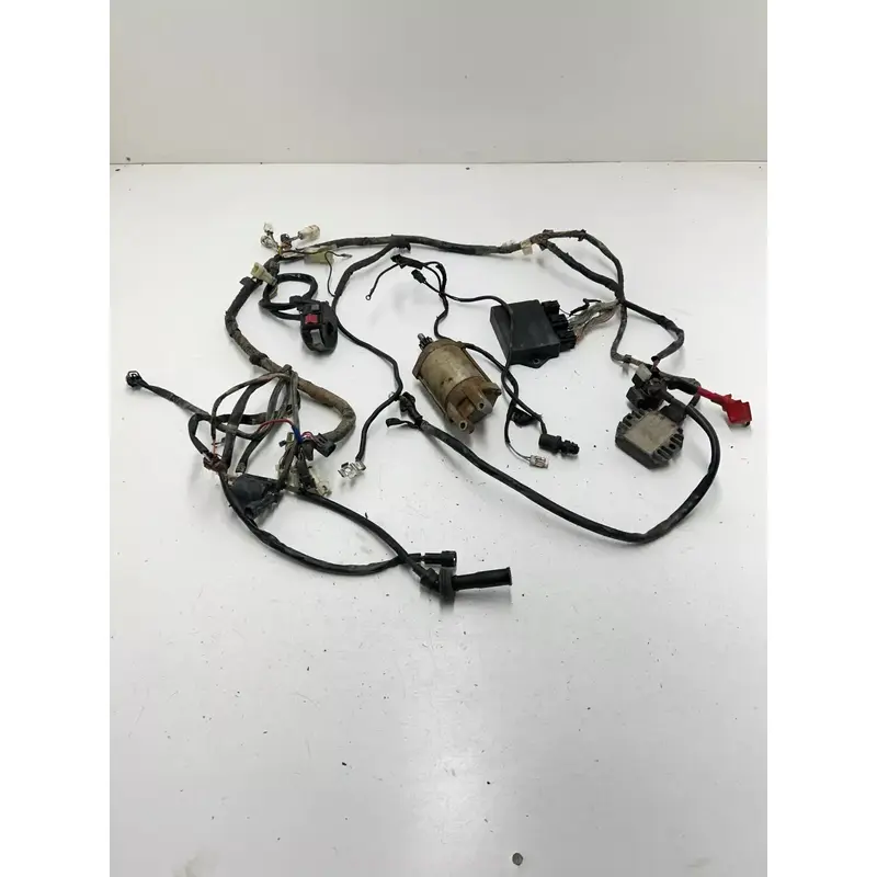 01 2001 Yamaha Raptor 660 R OEM GOOD! Wiring Harness Loom ECU CDI Coil Starter