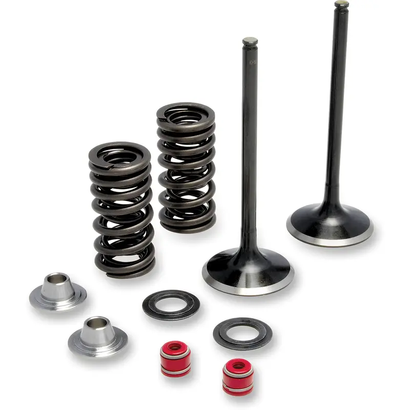 Stainless Exhaust Valve and Spring Kit