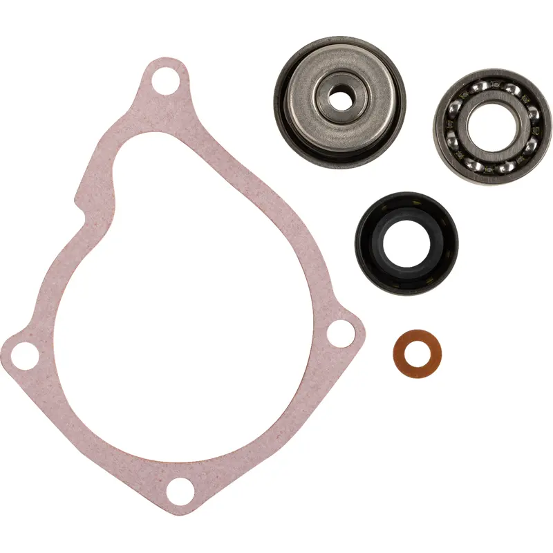 Water Pump Rebuild Kit