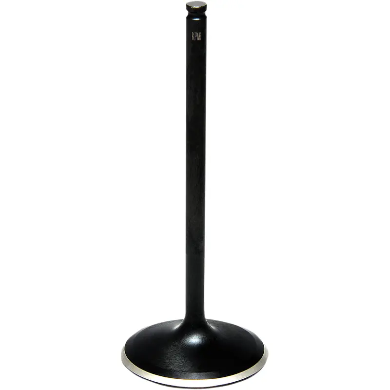 Black Diamond Engine Valve