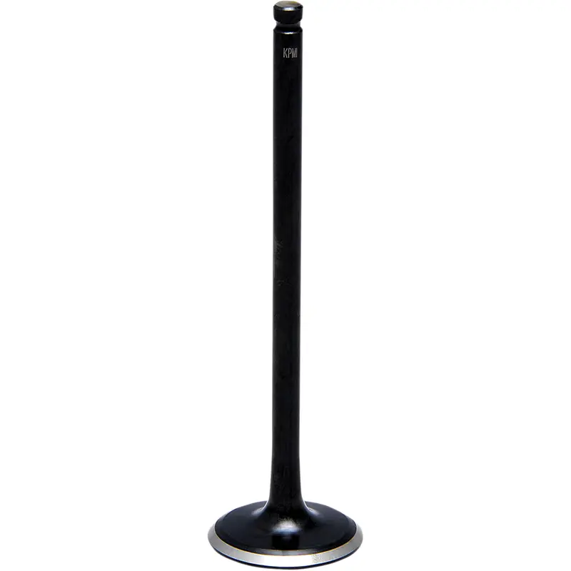 Black Diamond Engine Valve