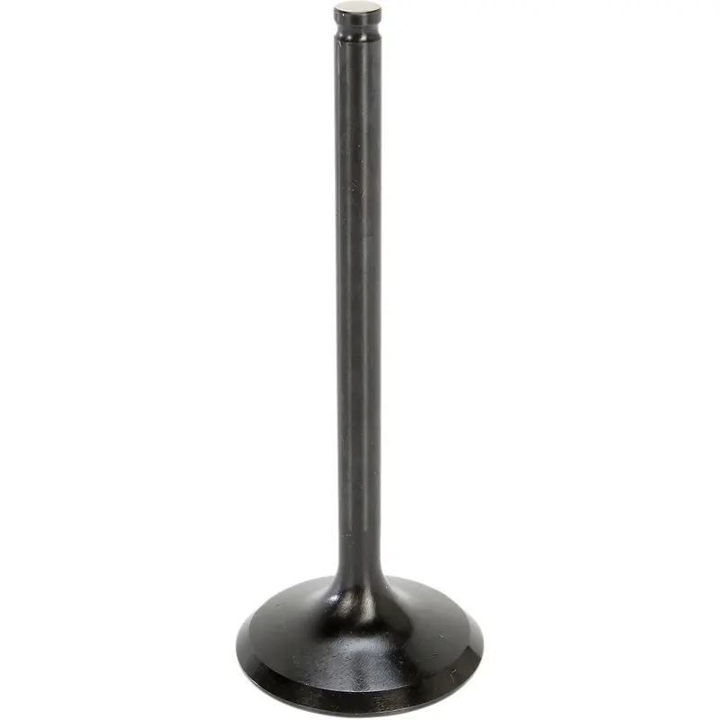 Black Diamond Engine Valve