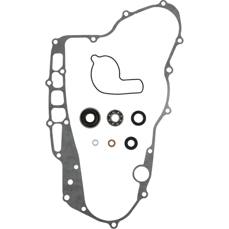 Water Pump Rebuild Kit