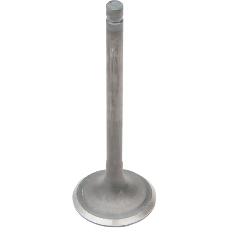 Engine Valves
