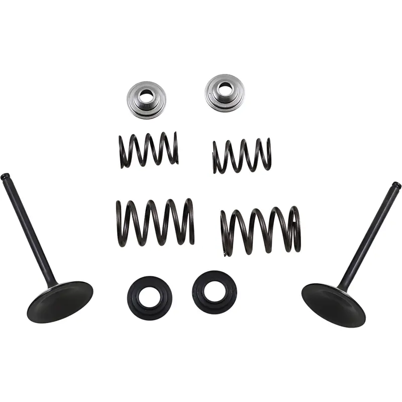 Stainless Intake Valve and Spring Kit