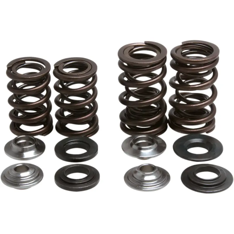 Valve Spring Kit