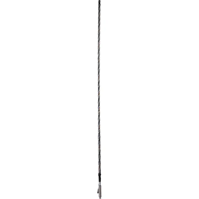 Bluetooth Whip Light