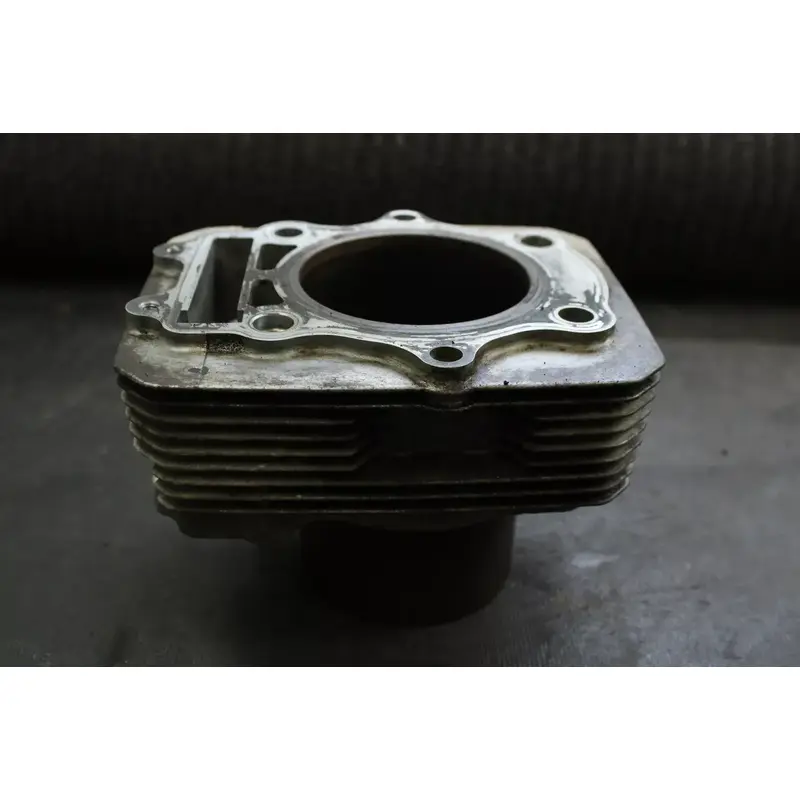 2007 Suzuki Eiger LTA400F OEM Cylinder  B4473