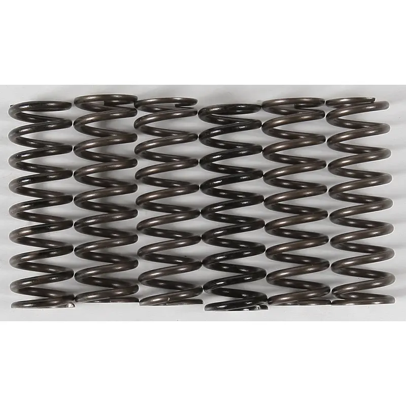 Hi-Temp Clutch Spring Kit