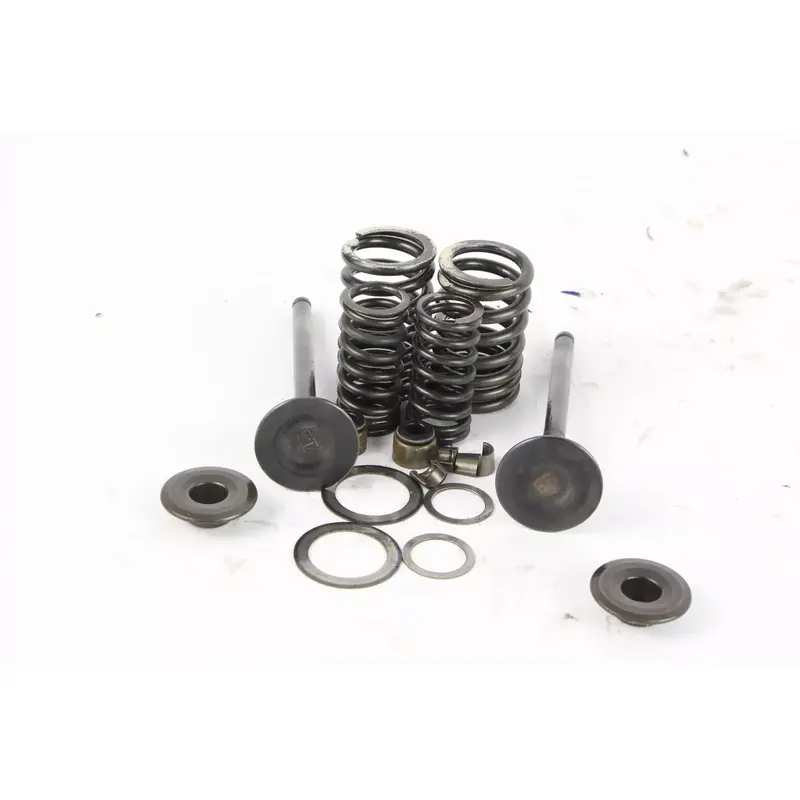 2002 Kawasaki Mojave 250 Ksf250a Oem Exhaust Valve set p4465