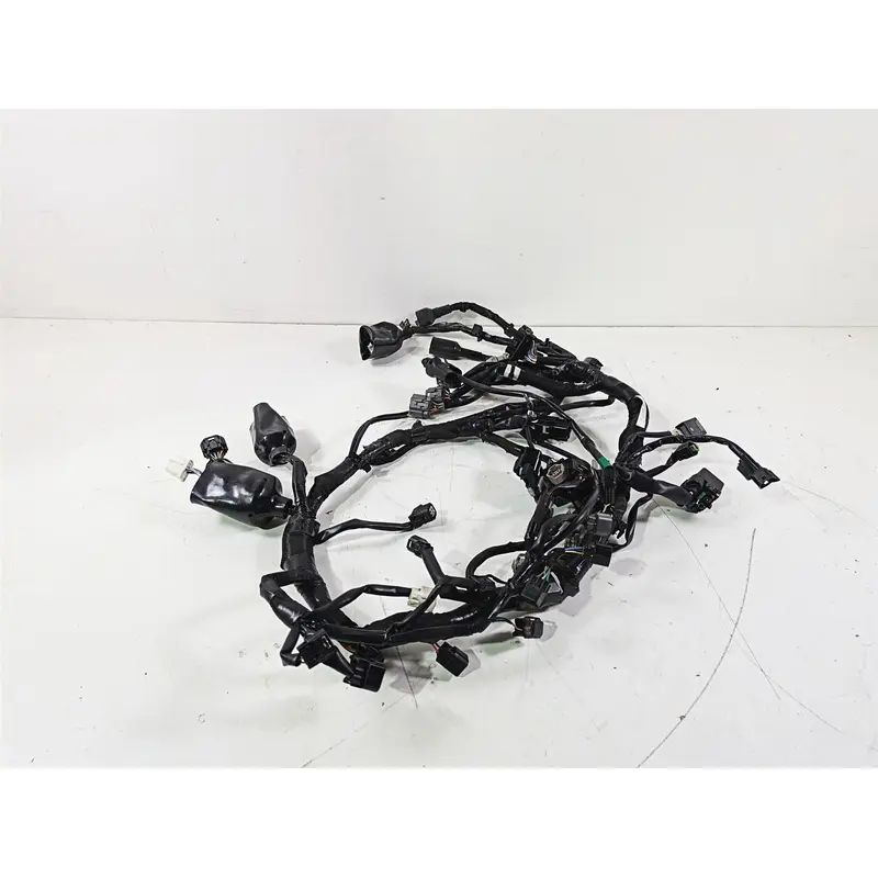 2024 Kawasaki ZX6R ZX636 Ninja Main Wiring Harness Loom US - Read 26031-3982