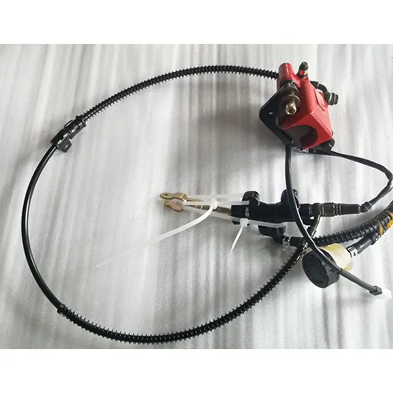 Rear Brake Assy