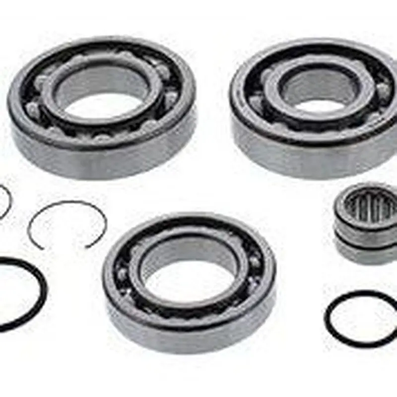 ALL BALLS REAR DIFFERENTIAL BEARING AND SEAL KIT 25-2109