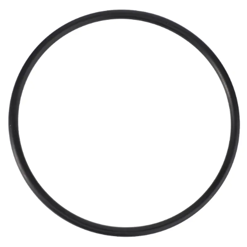 Massey Ferguson - O Ring - 1610254M1
