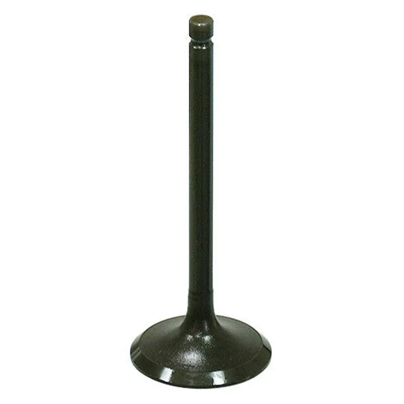 BRONCO EXHAUST VALVE AU-09219E