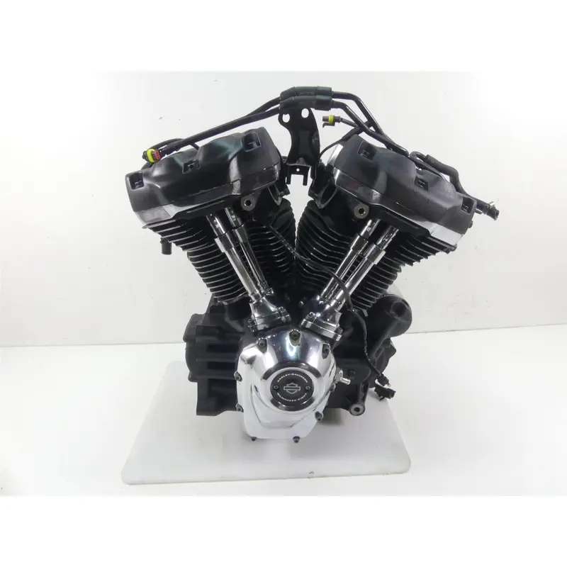 2019 Harley Softail FLSB Sport Glide Milwaukee 8 Engine Motor 107 Video 16200451
