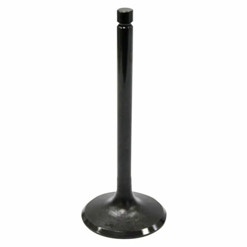 VALVE EXHAUST (AU-09003E)