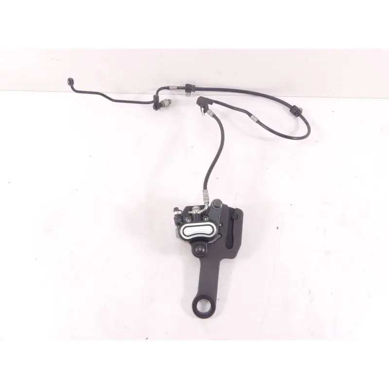 2019 Harley Softail FXBB Street Bob Rear Brake Caliper + Line & Mount 41300192