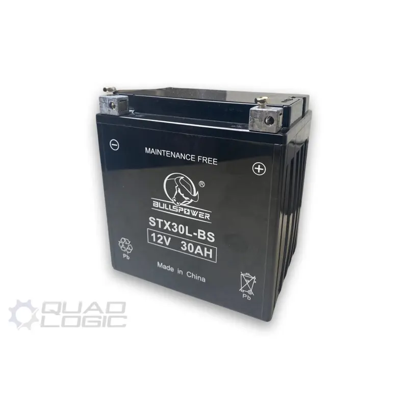 RZR 1000 XP Battery