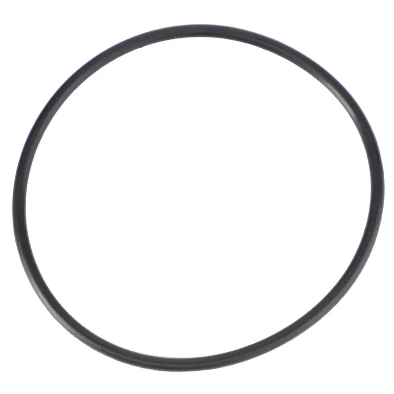 AGCO | O-Ring - 4222834M1