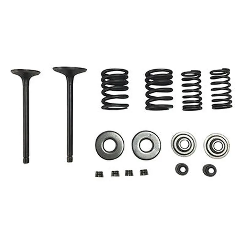 Valve Set With Springs and Clips - Linhai Yamaha 260cc 300cc Engines - Version 7