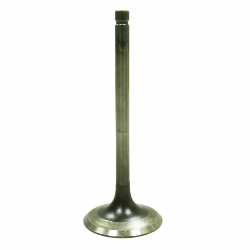 VALVE EXHAUST (AU-09219E)