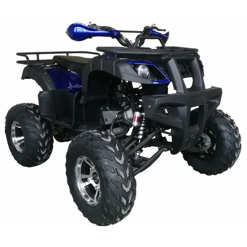 Warrior 200 Adult Quad ATV