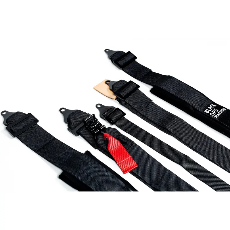5-Point Harness