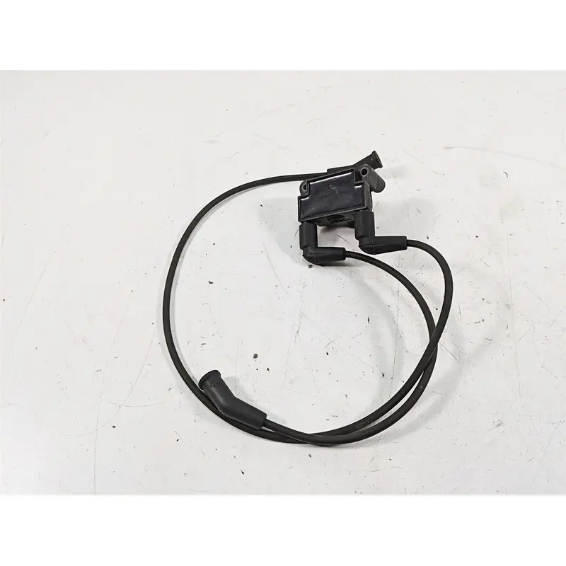 2009 Harley Touring FLHTCU Electra Glide Ignition Coil Wire Plug Set 31696-07A