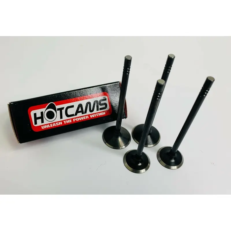  Hot Cams Steel Exhaust & Intake Valve Set POLARIS SPORTSMAN RANGER RZR 800 