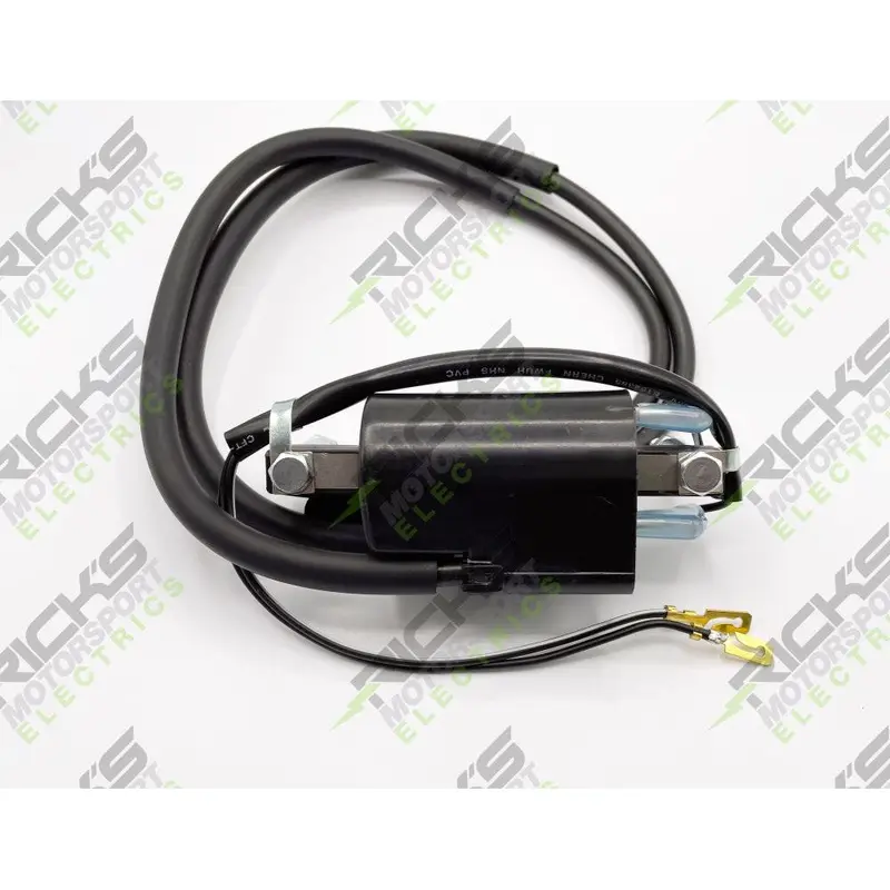 Ricks Ignition Coil 23-107