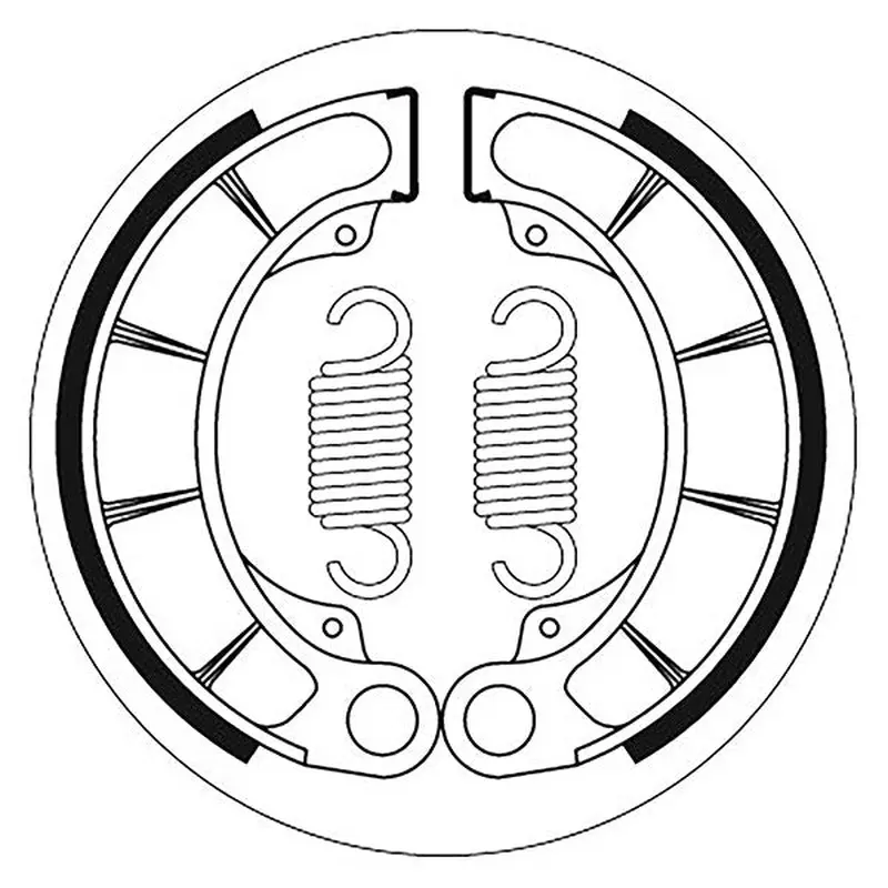 SBS BRAKE SHOES WITH SPRINGS (5192207100)