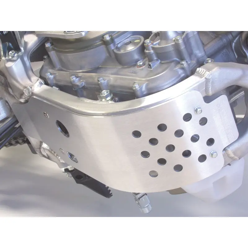 WORKS SKID PLATE 10-263