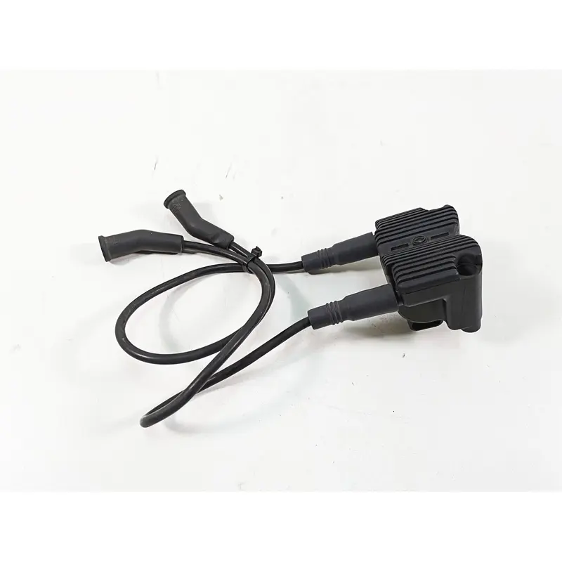 2006 Harley Touring FLHXI Street Glide Delphi Ignition Coil Wires Plugs 31743-01