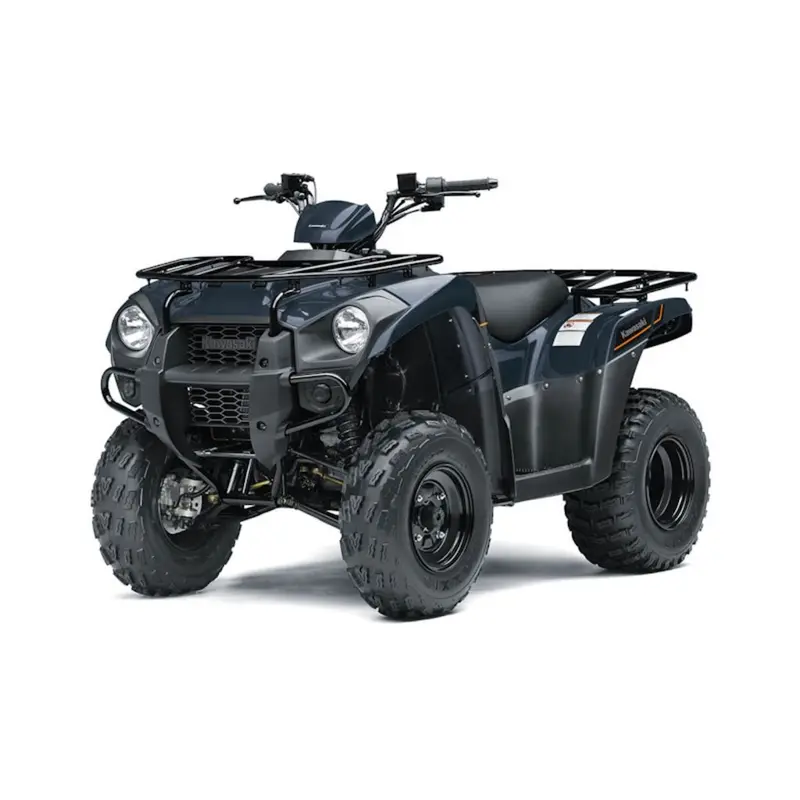 New 2025 Kawasaki Brute Force 300