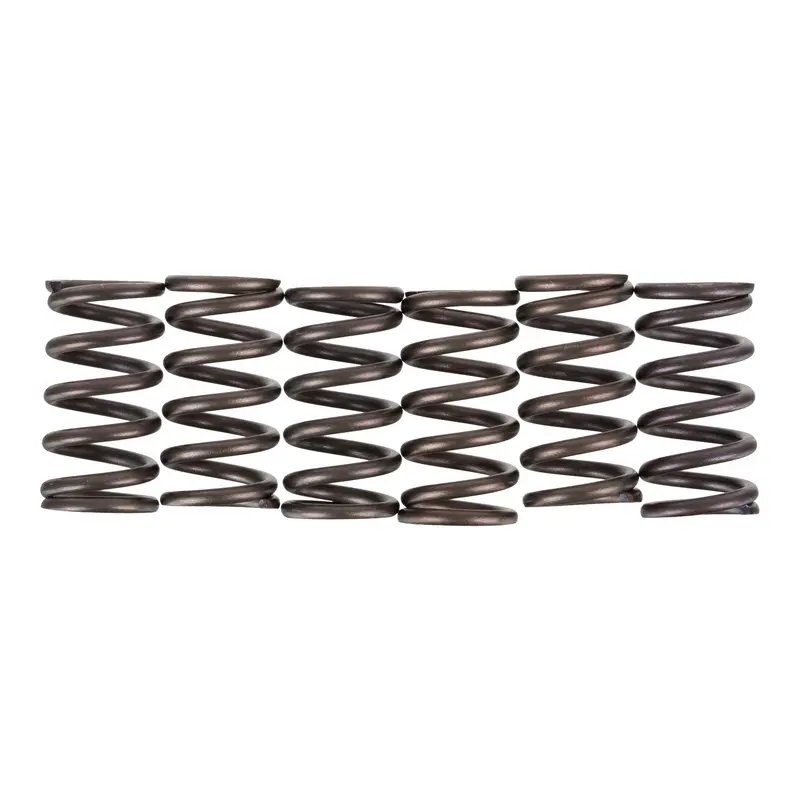 Premier Clutch Springs - Heavy Duty