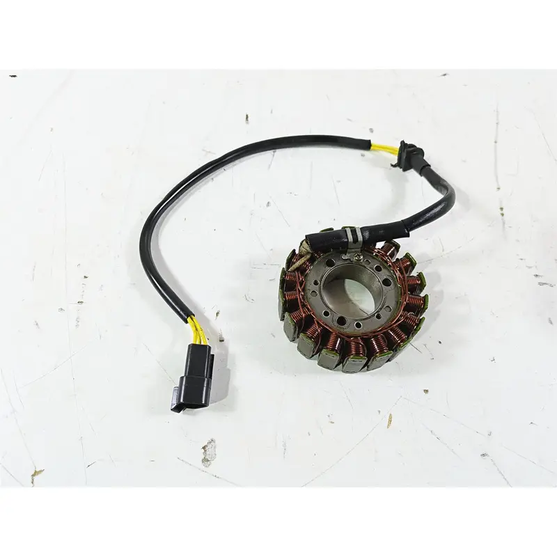 2010 Sea-Doo 4-Tec RXT 215 Ignition Stator Generator Alternator 420889726